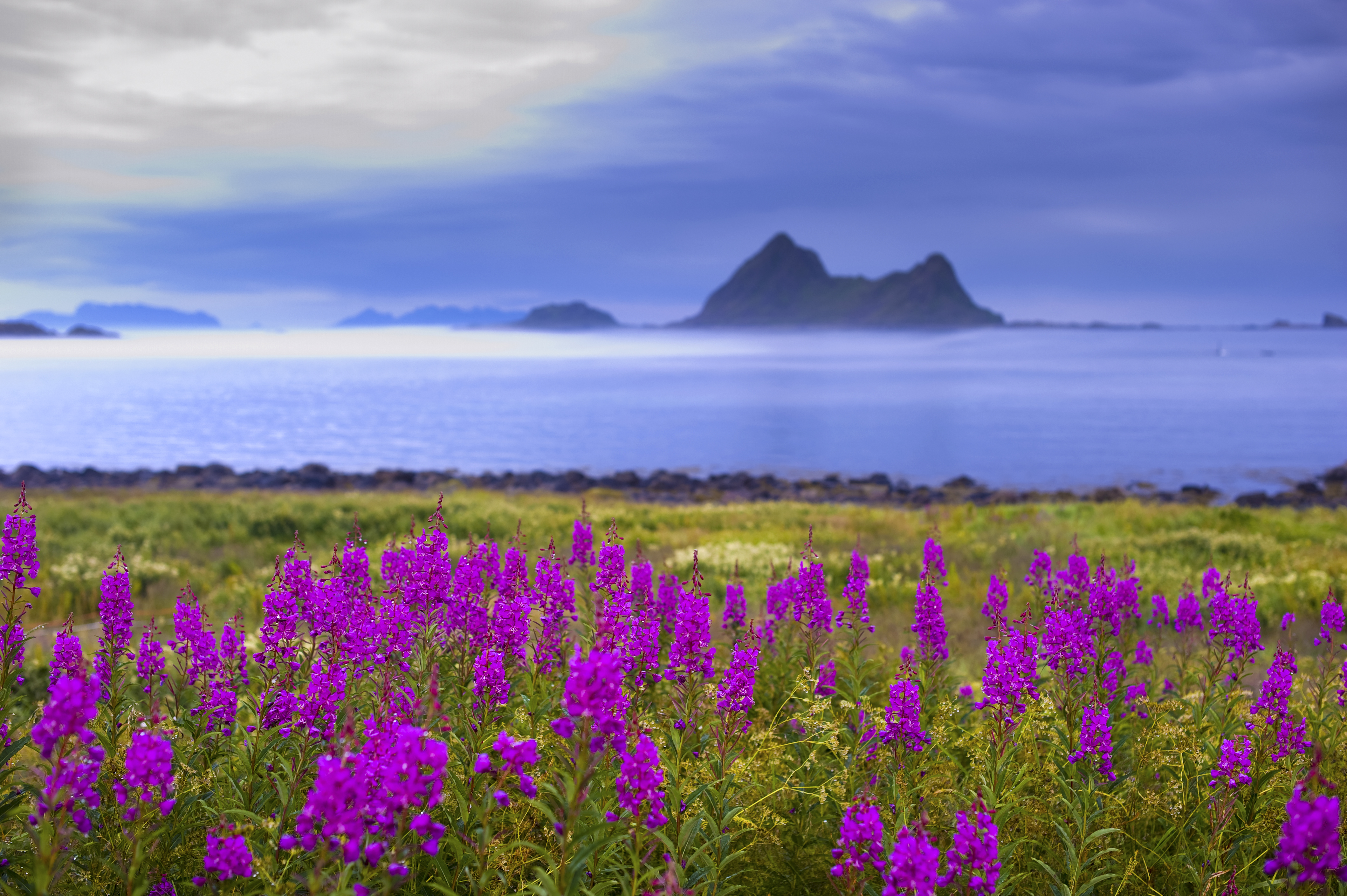MYTHIQUES ARCTIQUE, LOFOTEN & CAP NORD